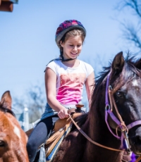 Trail Ride Training