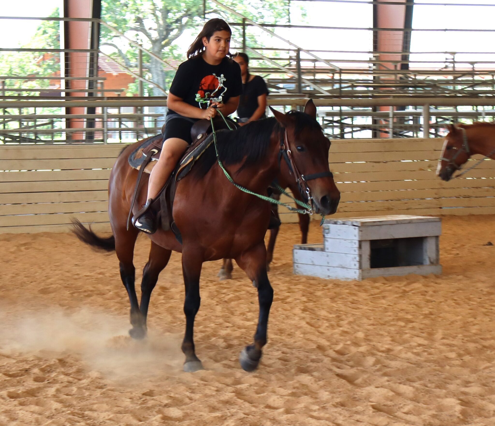 Rudley Ranch Riley Stable The Components of a Horse Stable - River Ranch Educational Charities